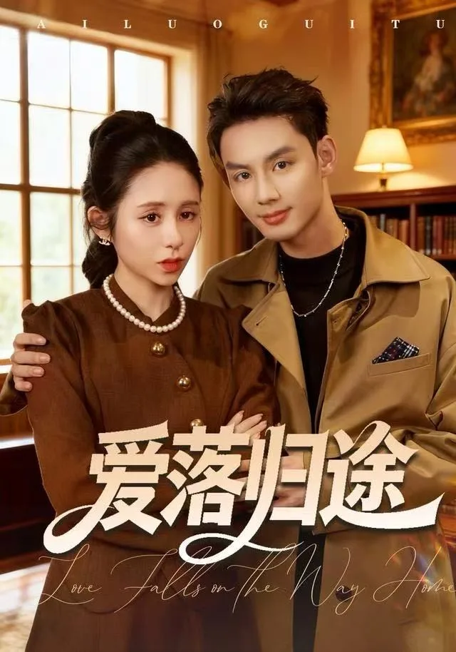 爱落归途海报