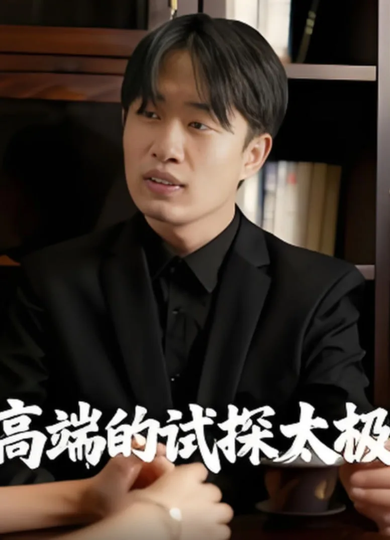 高端的试探太极海报