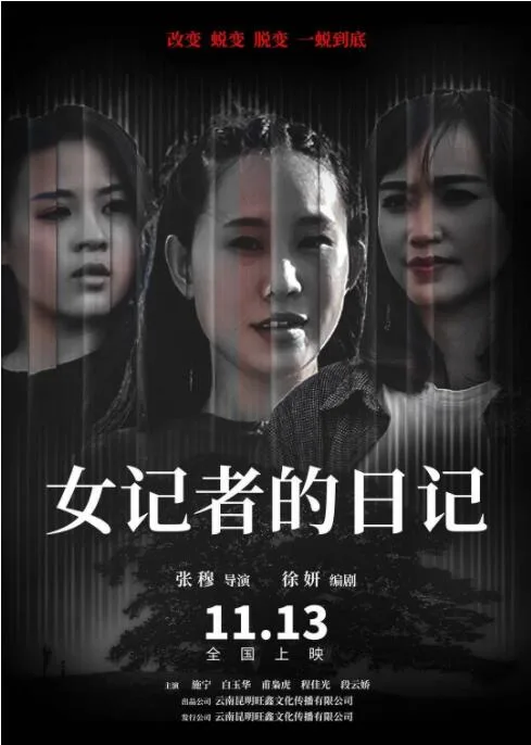 女记者的日记海报