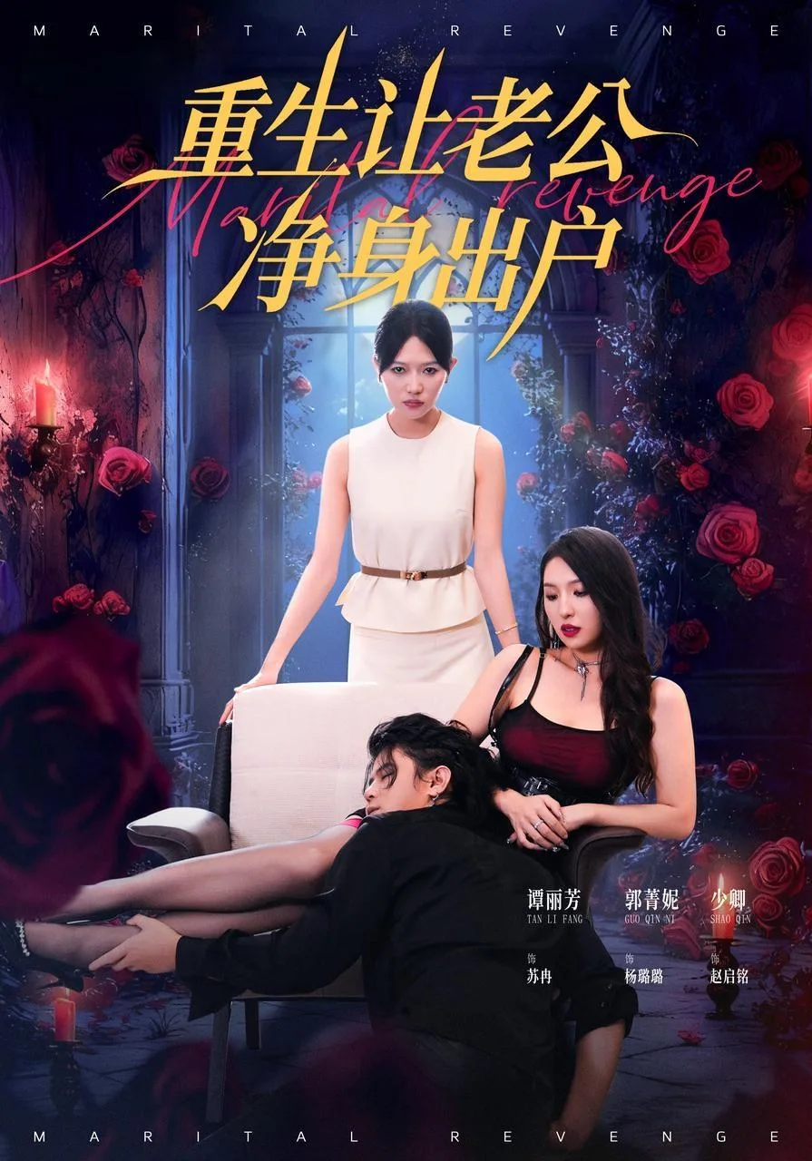 重生让老公净身出户海报