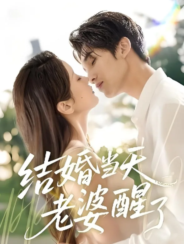 结婚当天老婆醒了海报