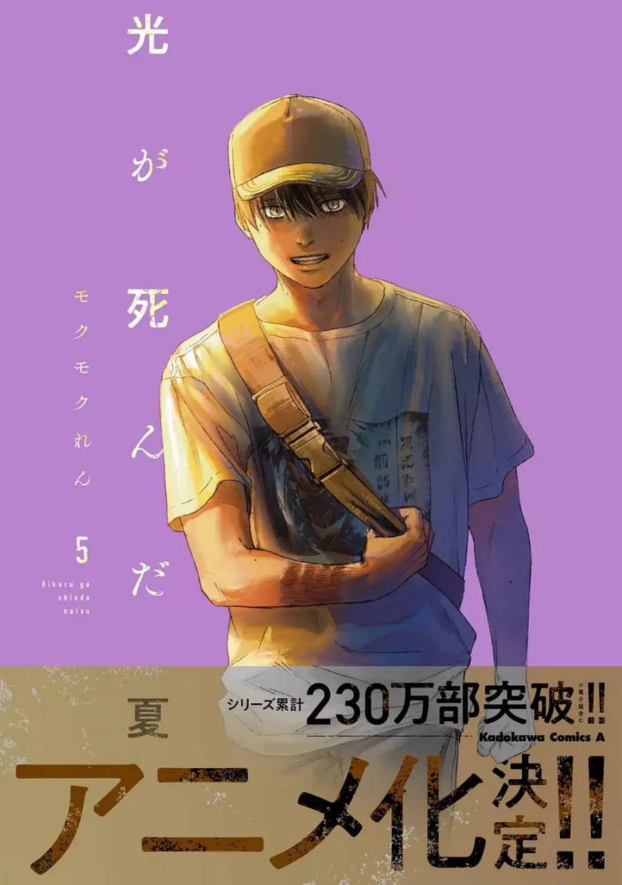 光逝去的夏天海报