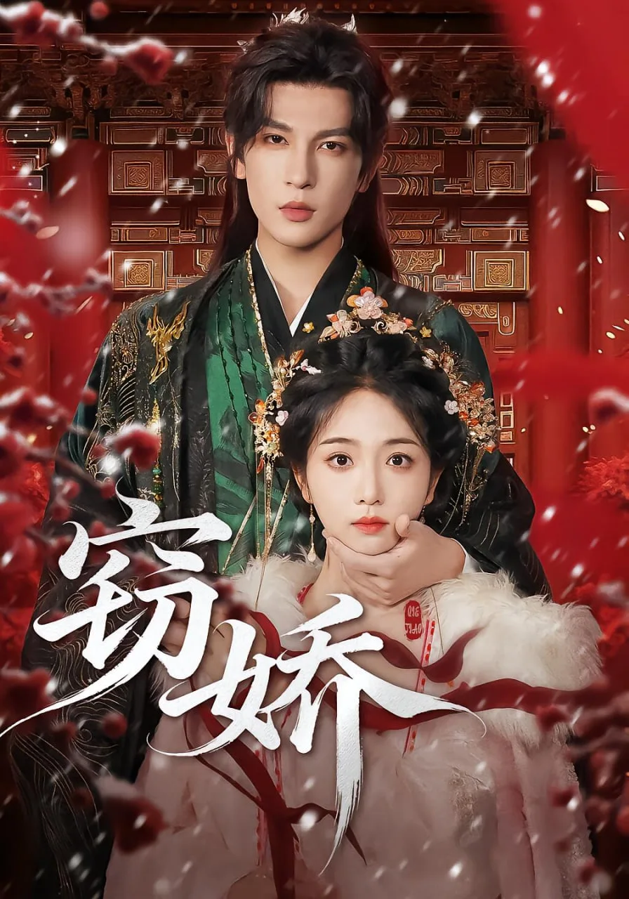 窃娇海报