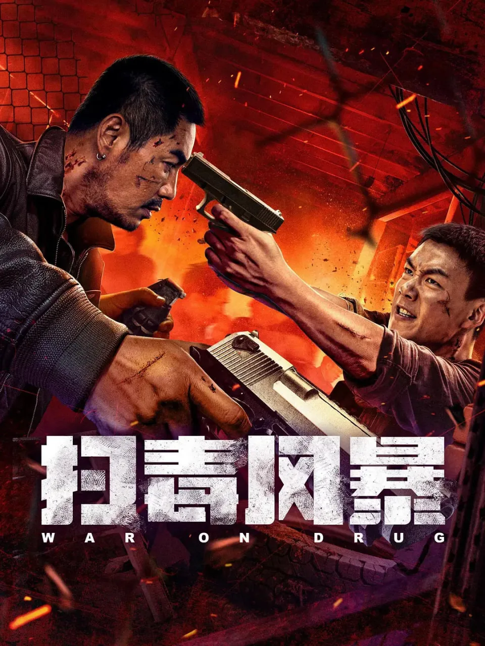 扫毒风暴海报