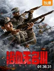 浴血无名川海报