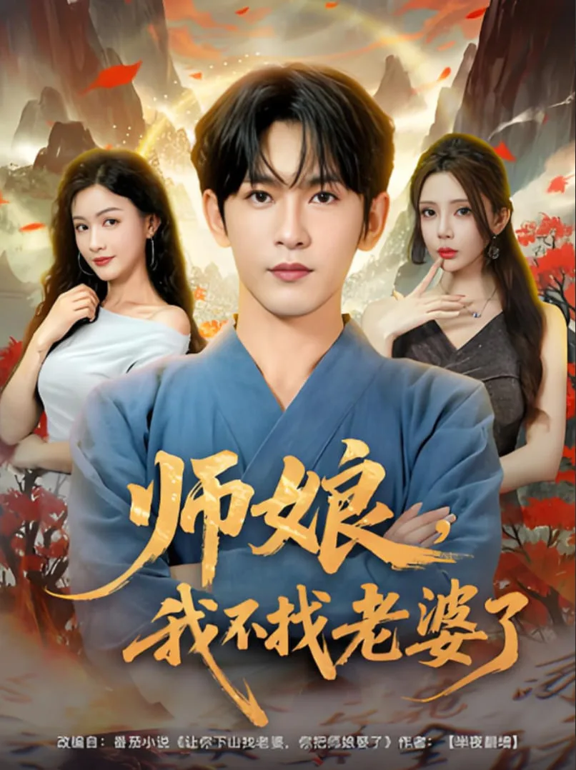 师娘我不找老婆了海报