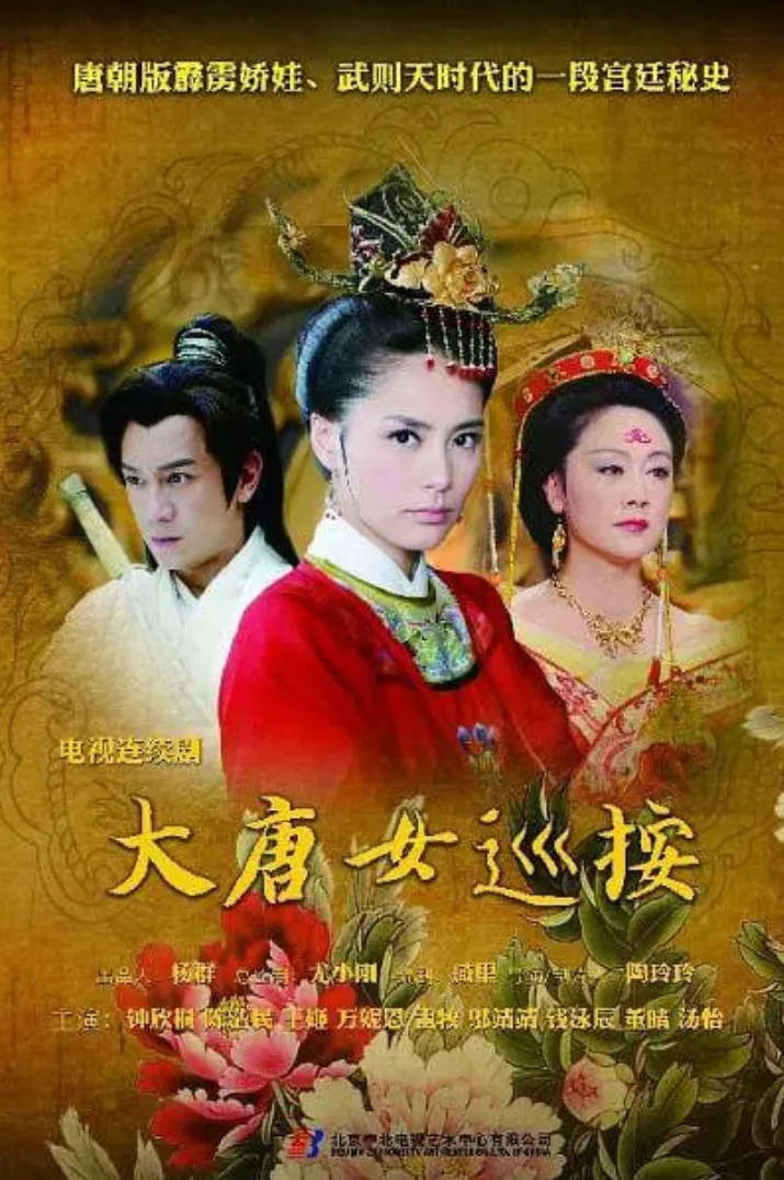 大唐女巡按海报