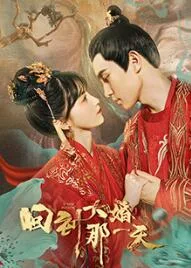 回到大婚那一天海报