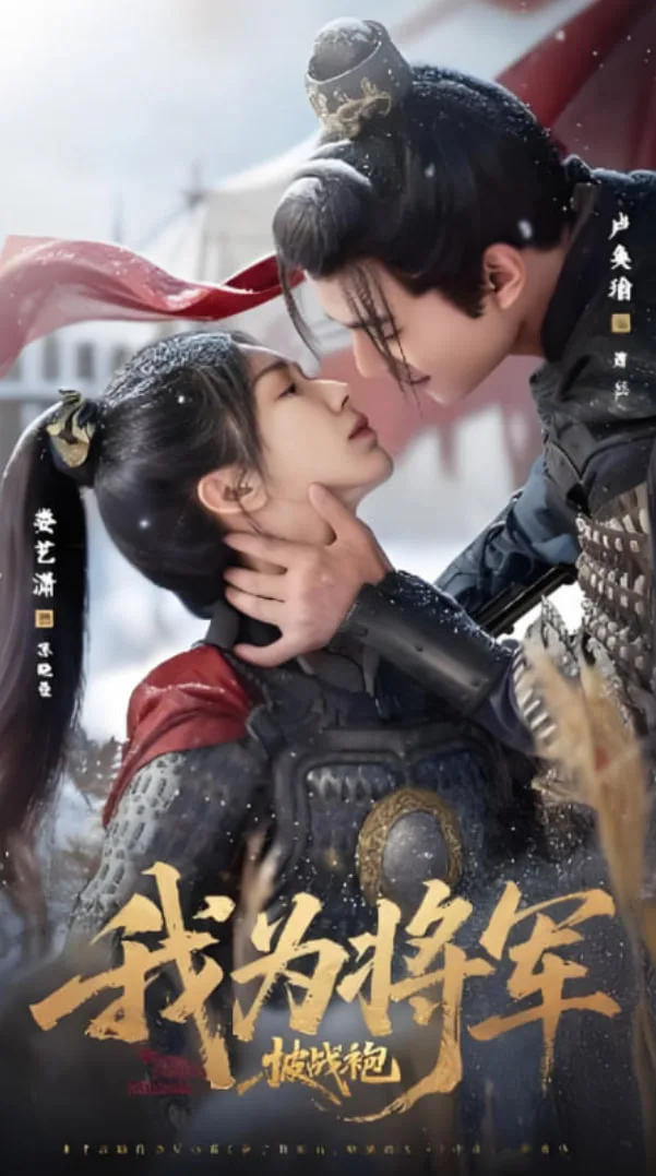 我为将军披战袍海报