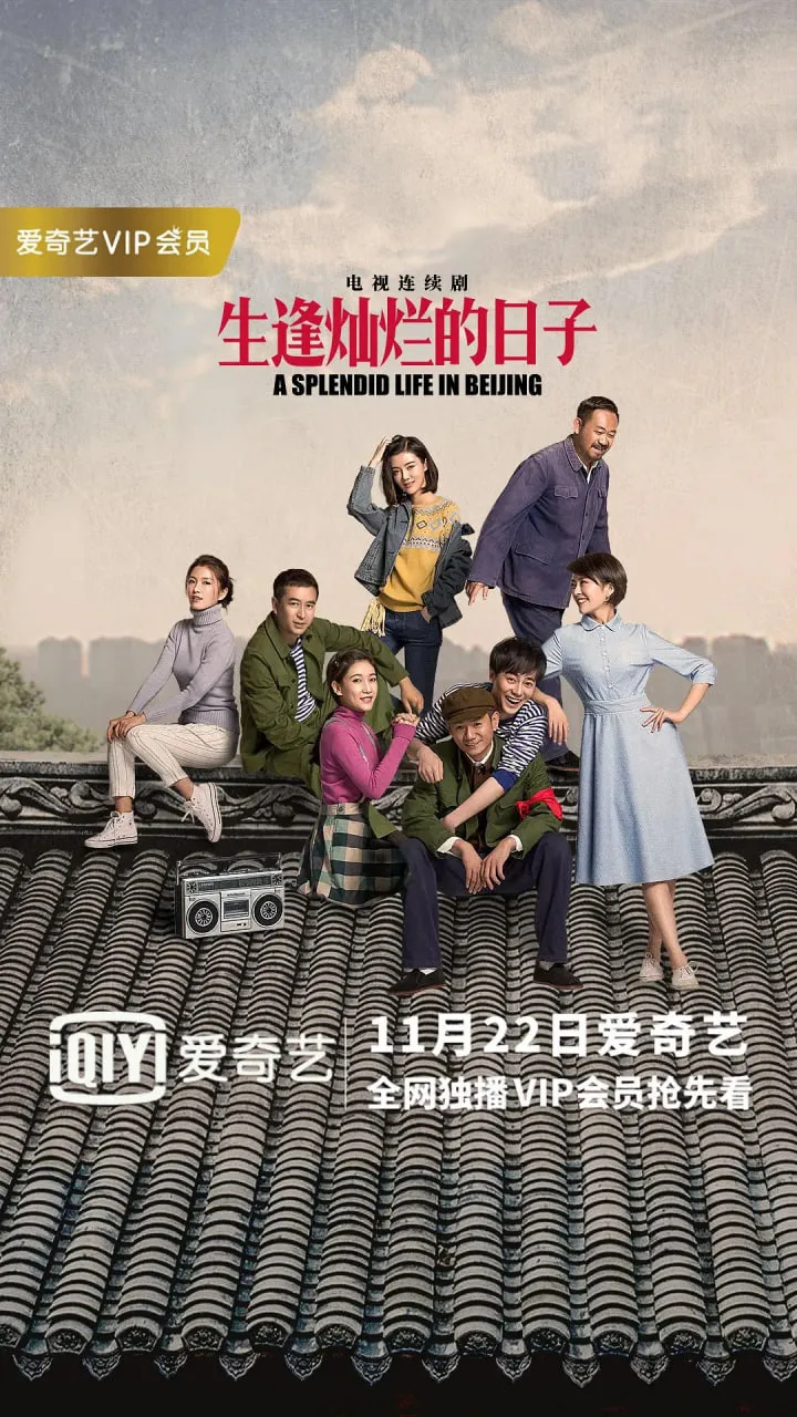 生逢灿烂的日子海报