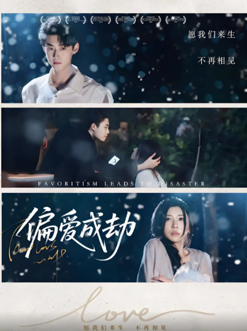 偏爱成劫海报