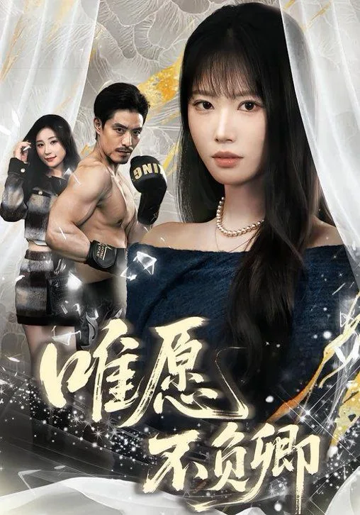 唯愿不负卿海报
