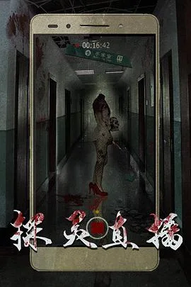 探灵直播海报
