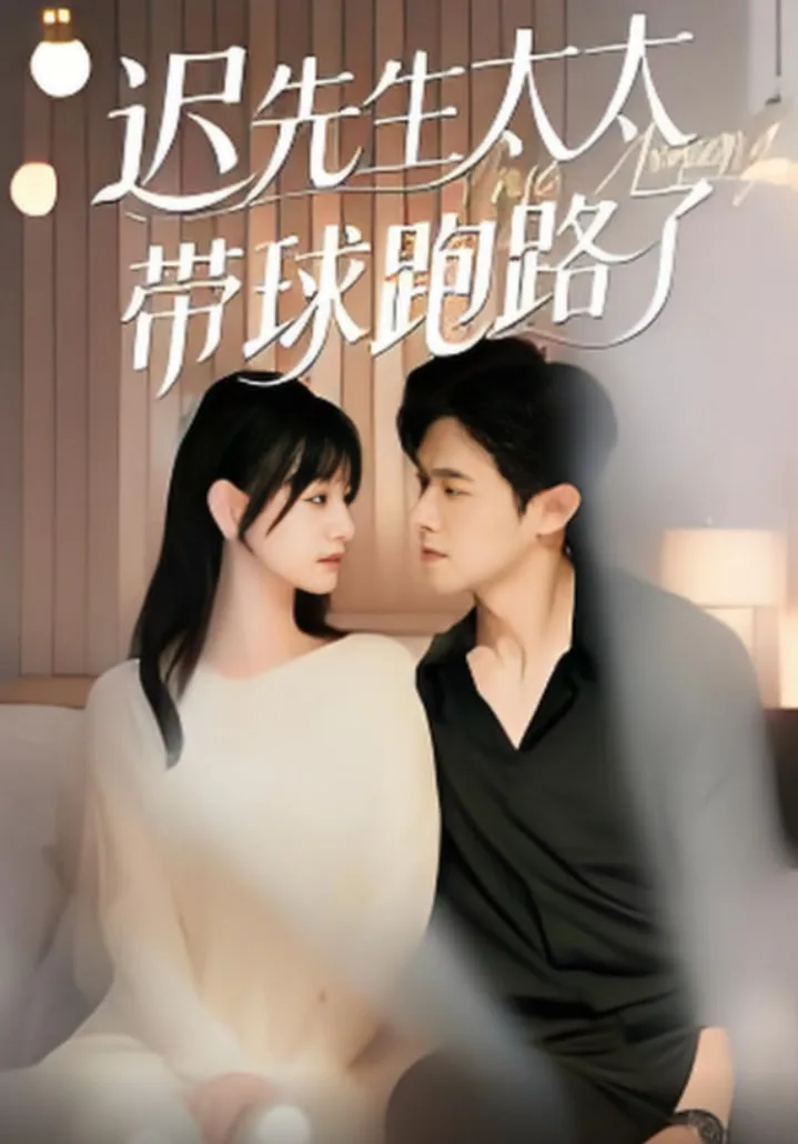 迟先生太太带球跑路了（迟先生太太到处跑）海报