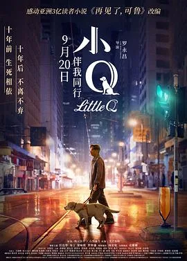 小Q 国语版海报