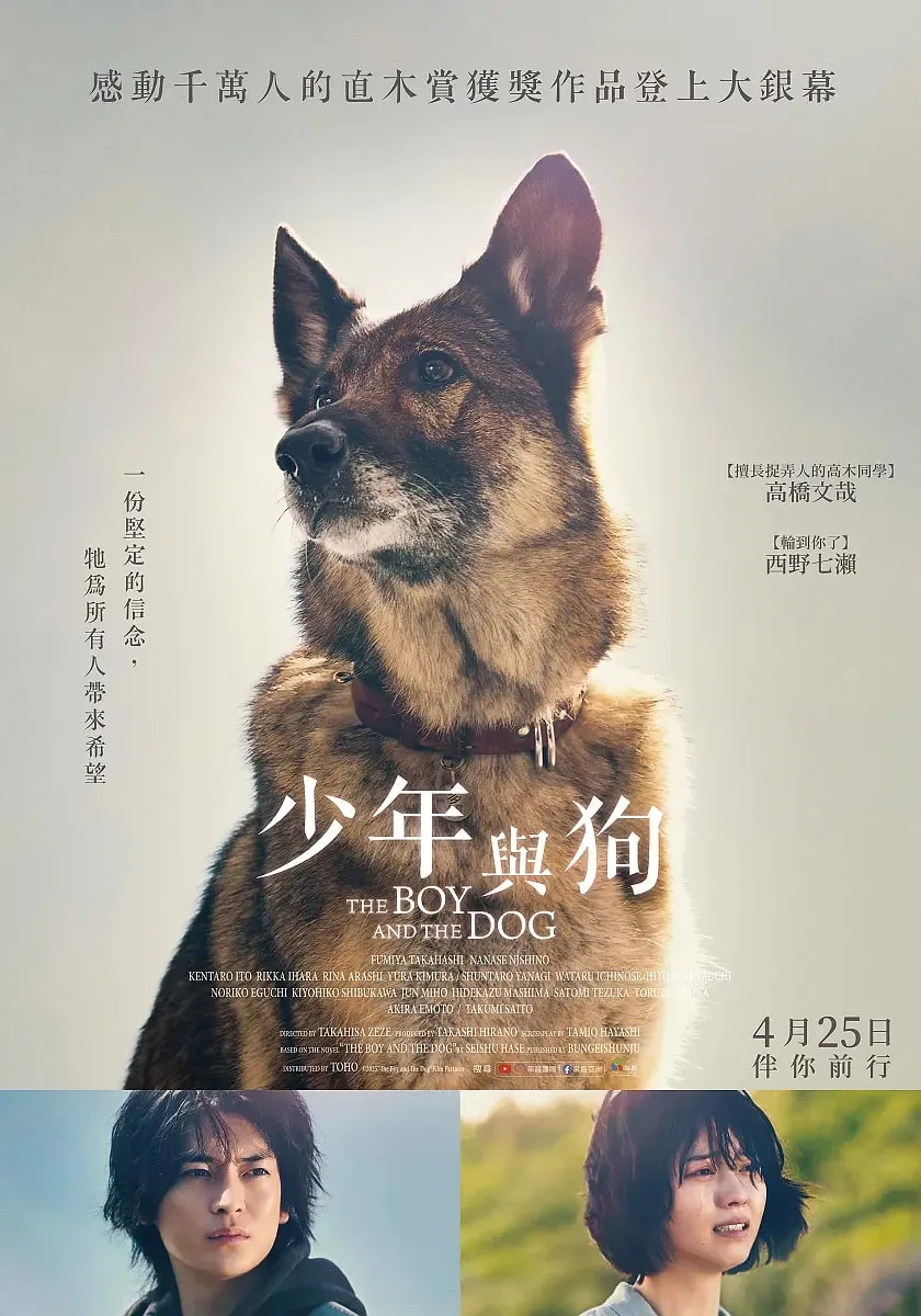少年与犬海报