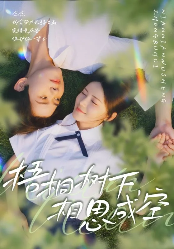 梧桐树下，相思成空海报