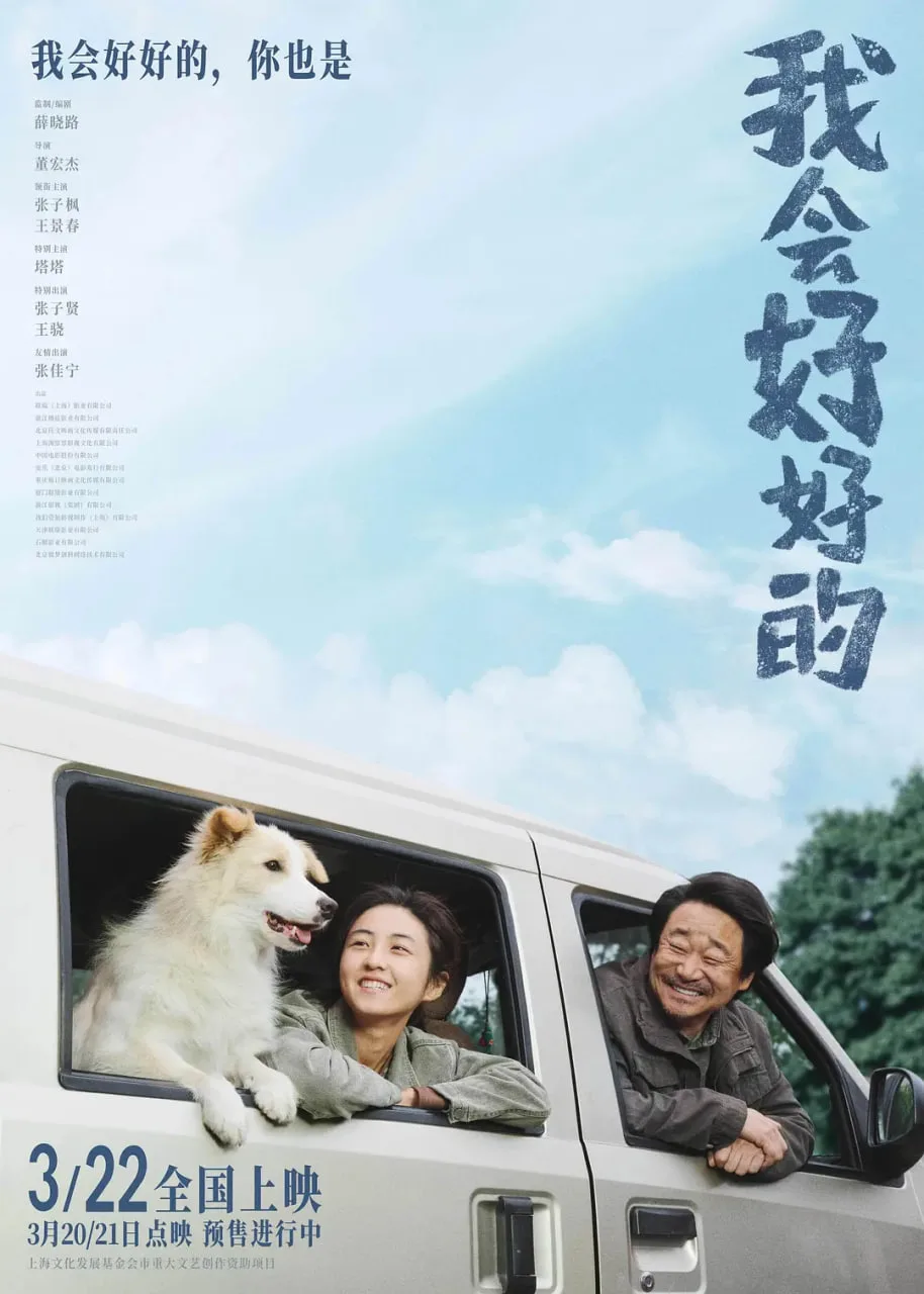 我会好好的海报