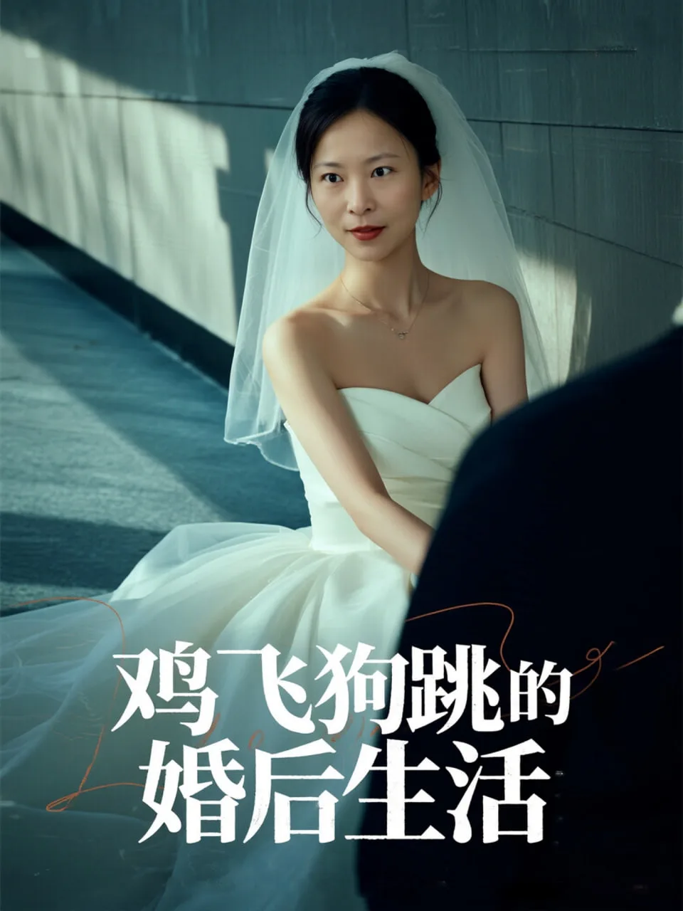 鸡飞狗跳的婚后生活海报
