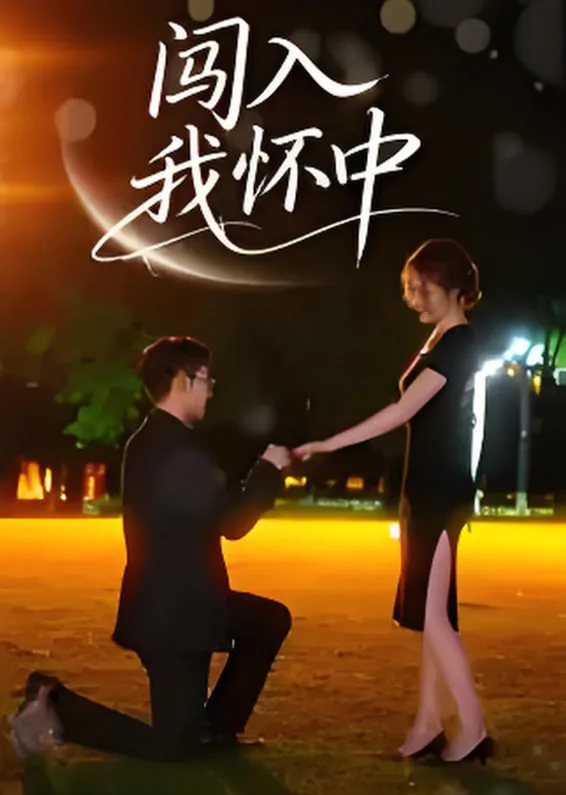 闯入我怀中海报