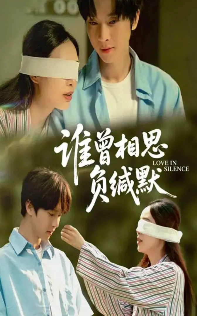 谁曾相思负缄默海报
