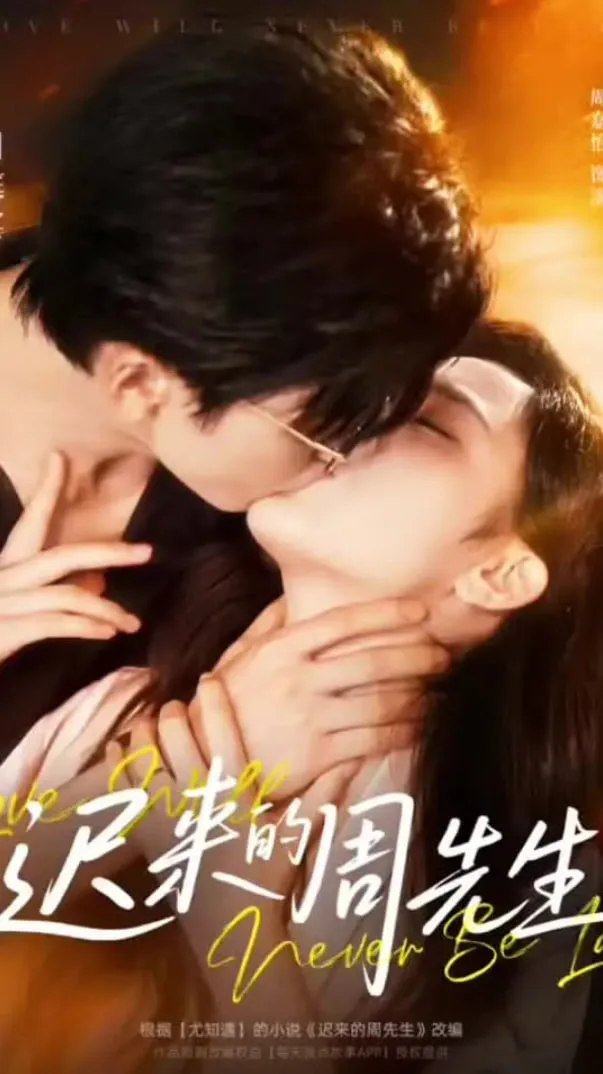 迟来的周先生海报