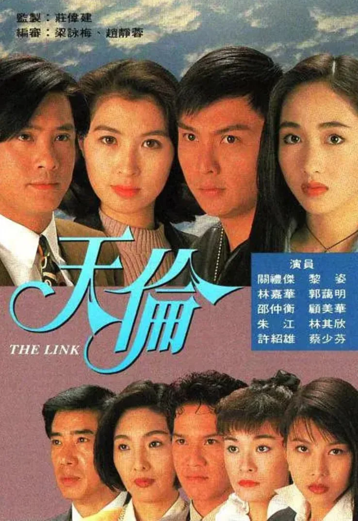 天伦 1993海报