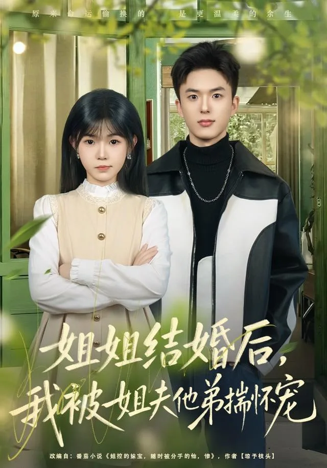 姐姐结婚后，我被姐夫他弟揣怀宠海报