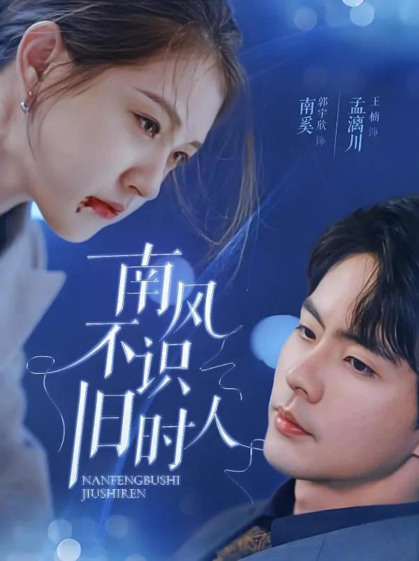 南风不识旧时人海报