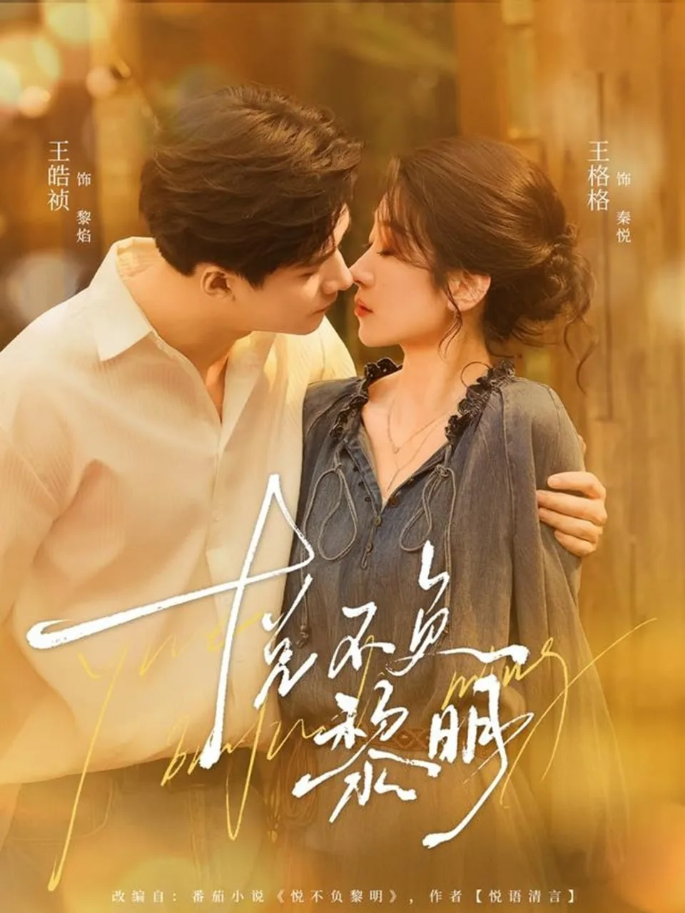 悦不负黎明海报
