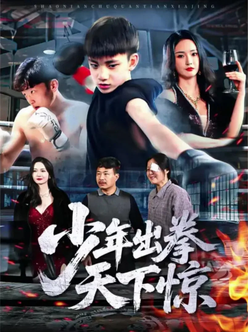 少年出拳天下惊海报