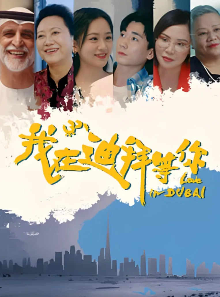 我在迪拜等你海报