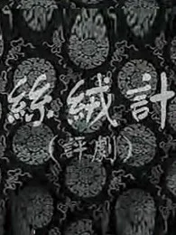 丝绒记海报