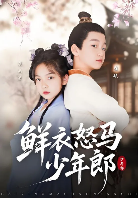 鲜衣怒马少年郎海报