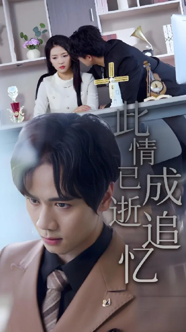 此情已逝成追忆海报