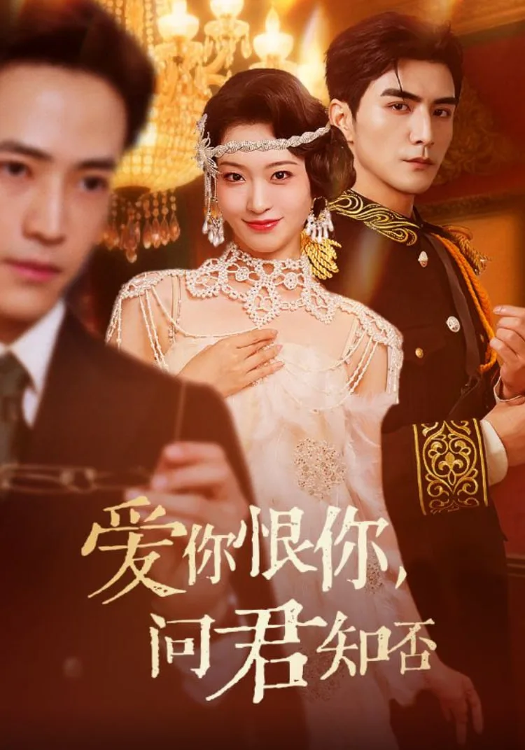 爱你恨你问君知否海报