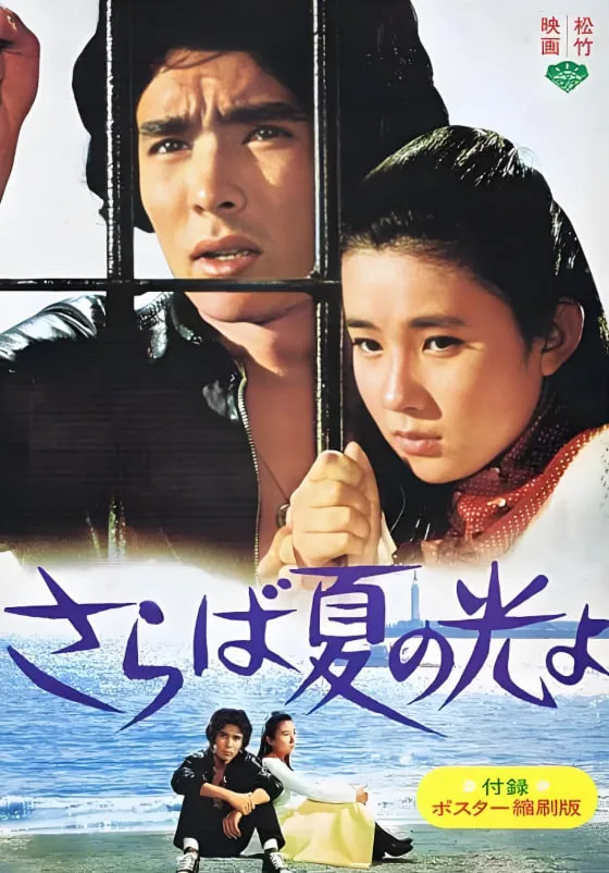 再见，夏日之光海报