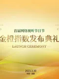 首届网络视听节目节海报