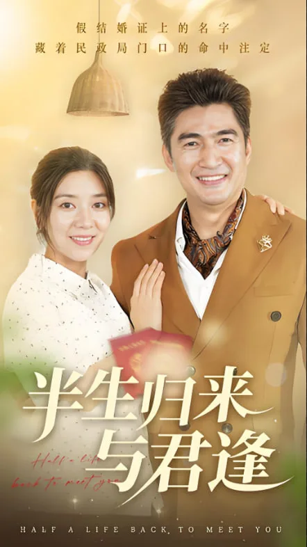 半生归来与君逢海报