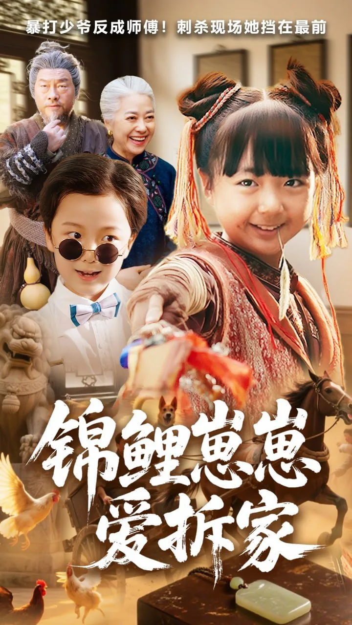 锦鲤崽崽爱拆家海报
