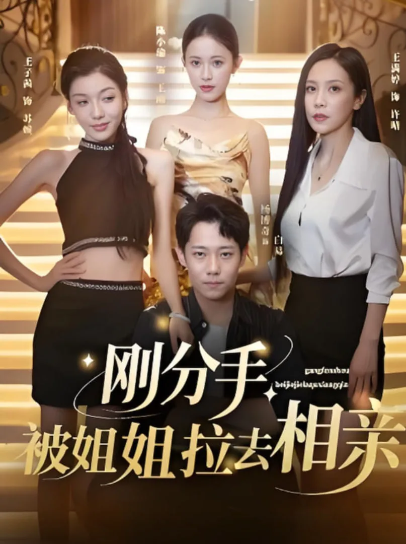 刚分手被姐姐拉去相亲（分手被姐姐拉去相亲）海报