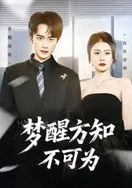 梦醒方知不可为海报