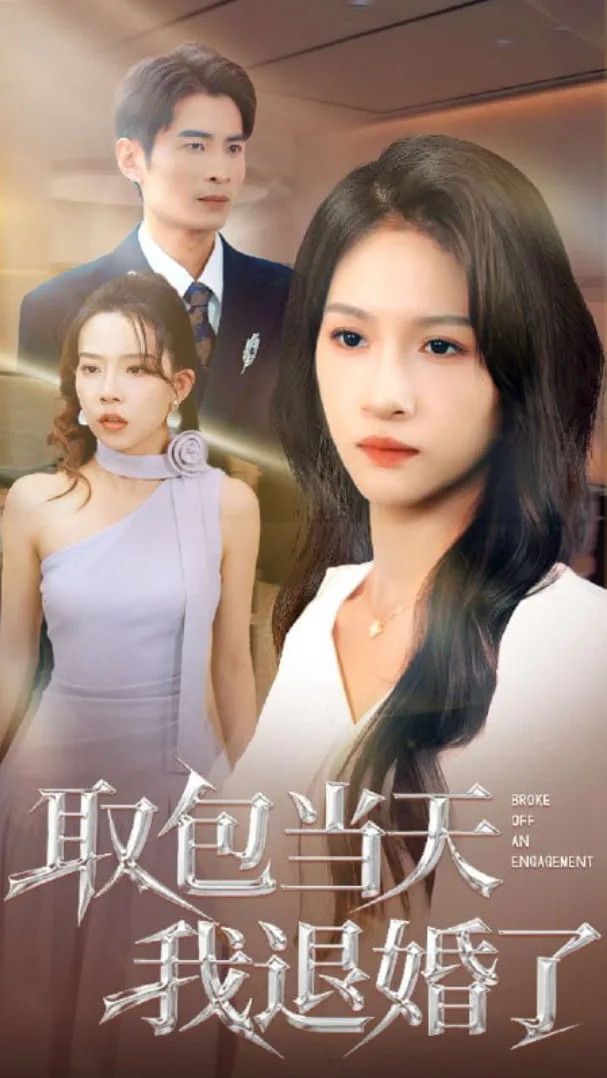 取包当天我退婚了海报