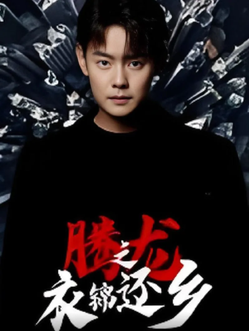 腾龙之衣锦还乡海报