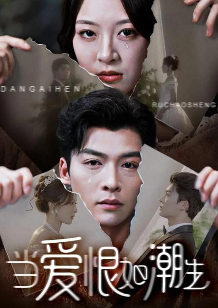 当爱恨如潮生海报