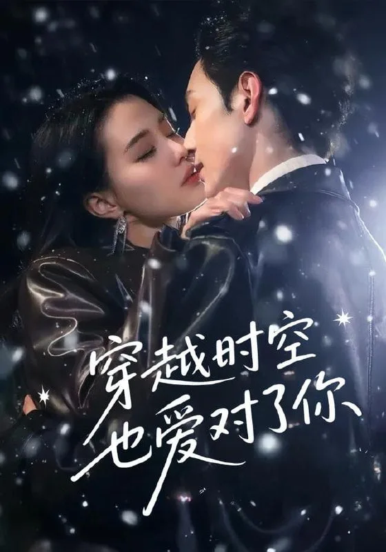 穿越时空也爱对了你海报