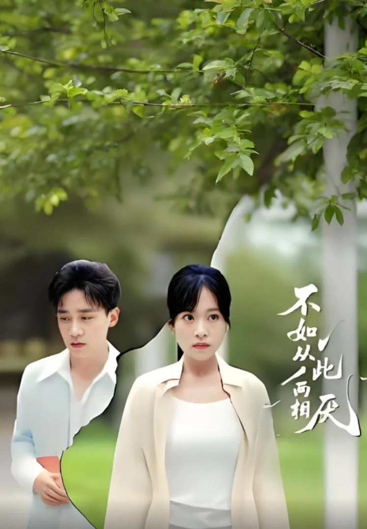 不如从此两相厌海报