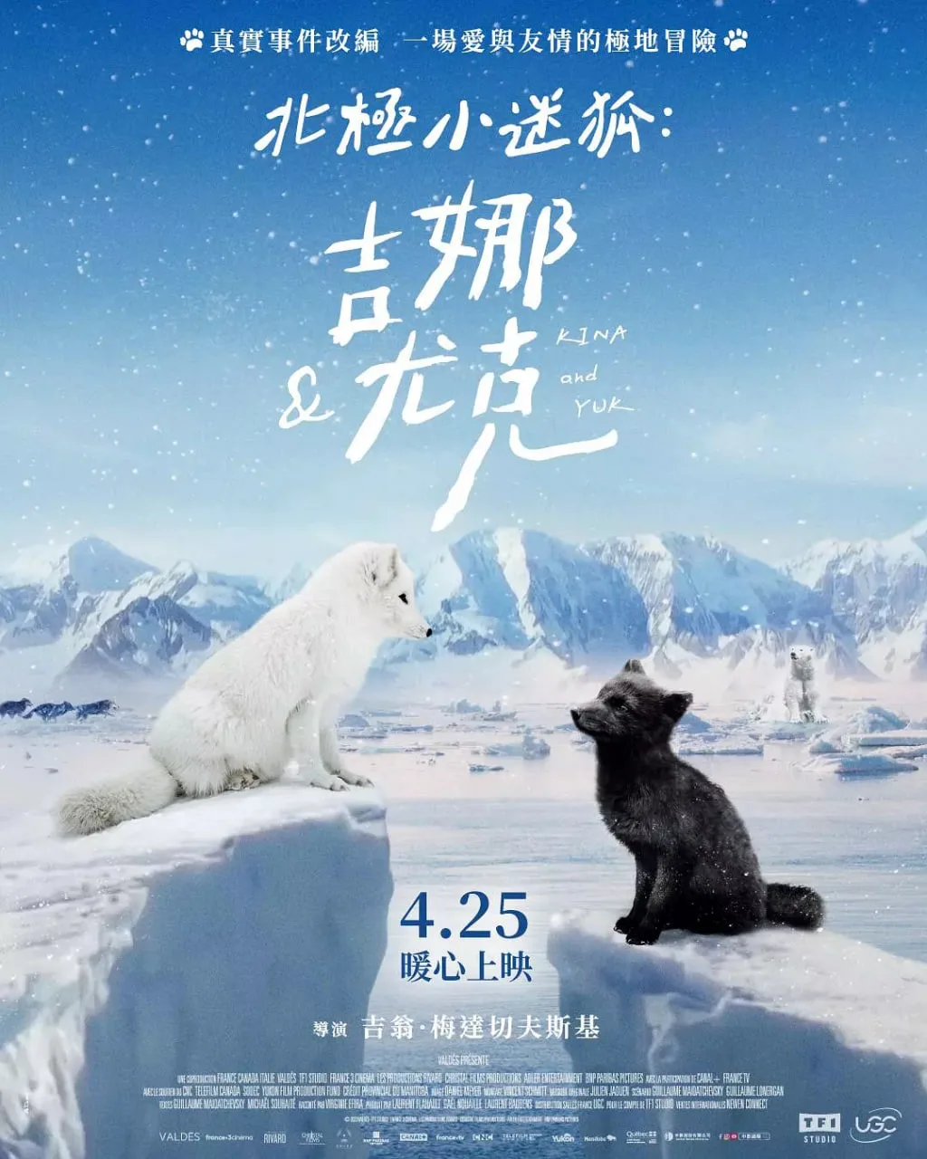北极小迷狐吉娜，尤克海报