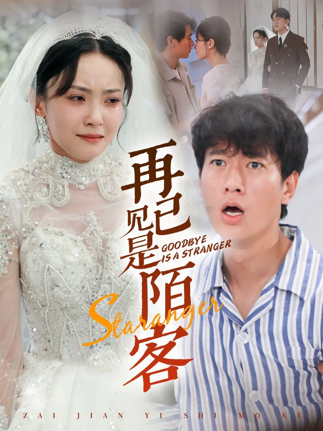 再见已是陌客（归来的星光）海报