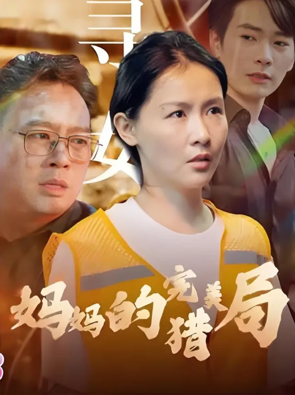妈妈的完美猎局海报
